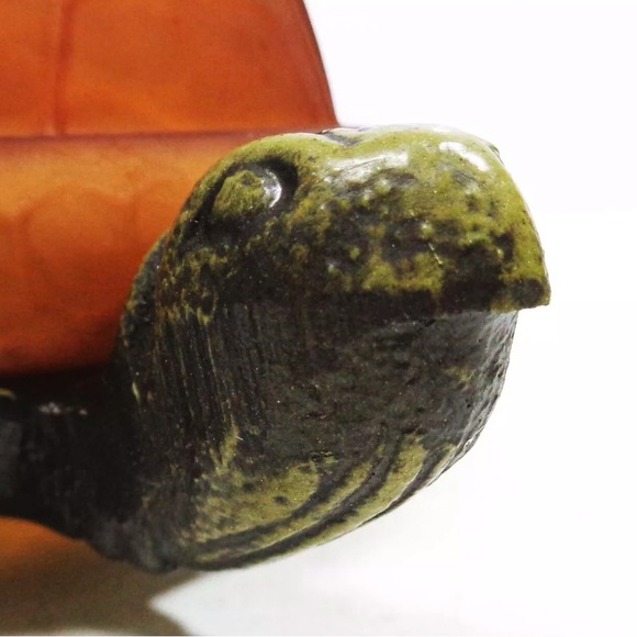 Tortoise Turtle Table Lamp / Nightlight by Terra Cottage New (TL4386A) LLF - Picture 7 of 7